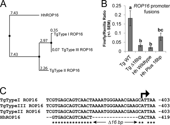 FIG 3