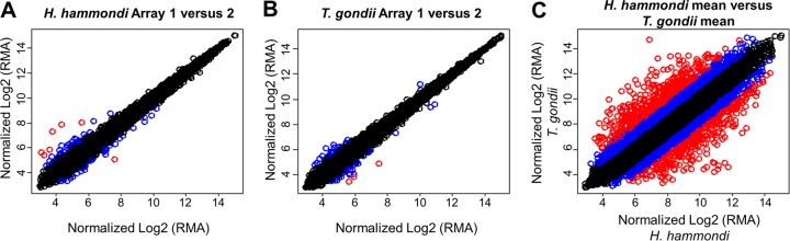 FIG 6