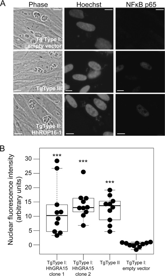 FIG 2