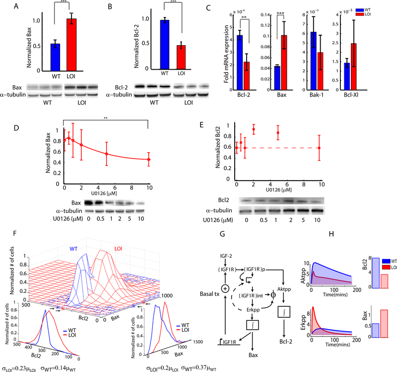 Fig 4 :