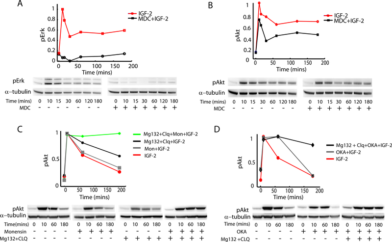 Fig 2 :