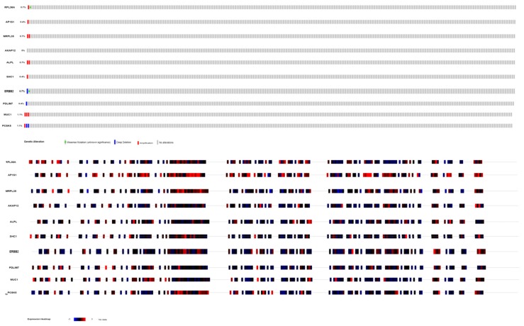 Figure 19