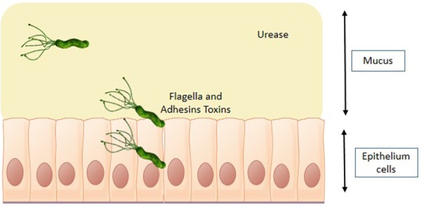 Fig. 5.