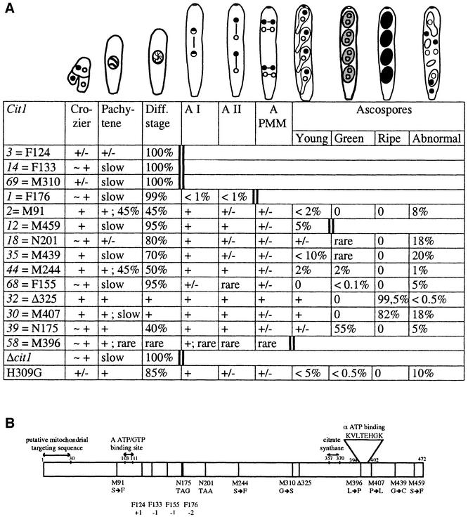 graphic file with name cdf632f1.jpg
