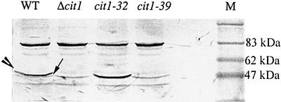 graphic file with name cdf632f5.jpg