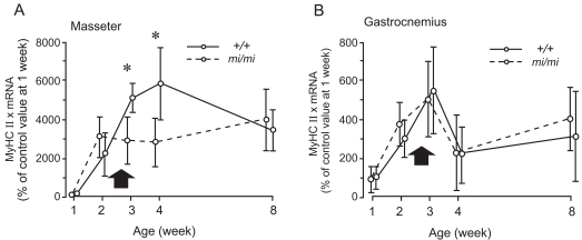 Fig. (6)