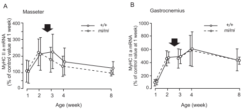 Fig. (5)