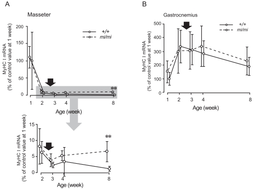 Fig. (4)