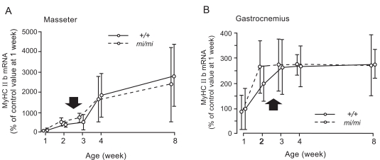 Fig. (7)