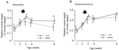 Fig. (3)