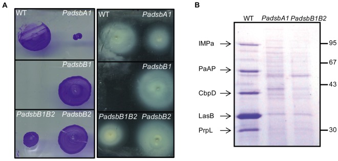 FIG 3 