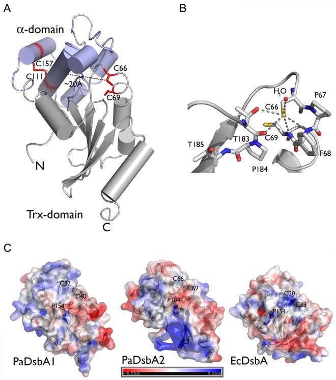 FIG 6 