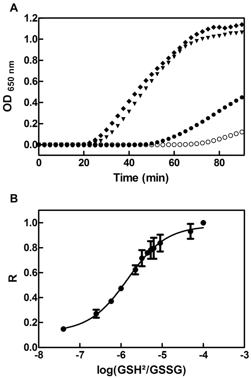 FIG 4 