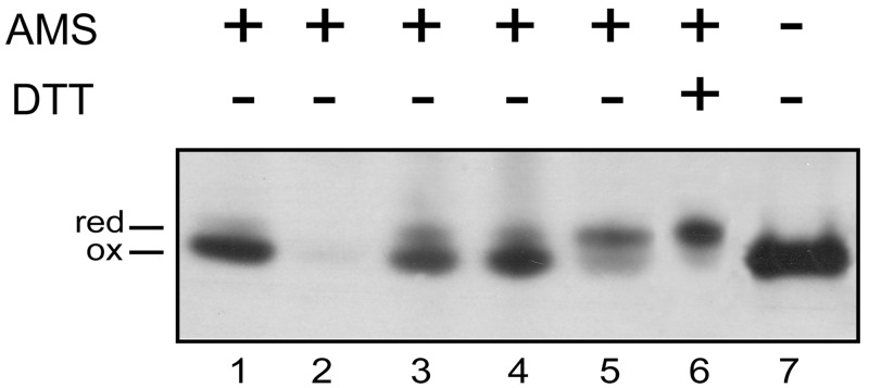 FIG 1 