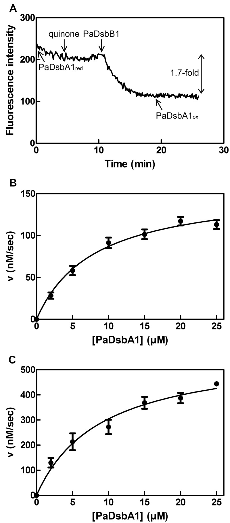 FIG 2 