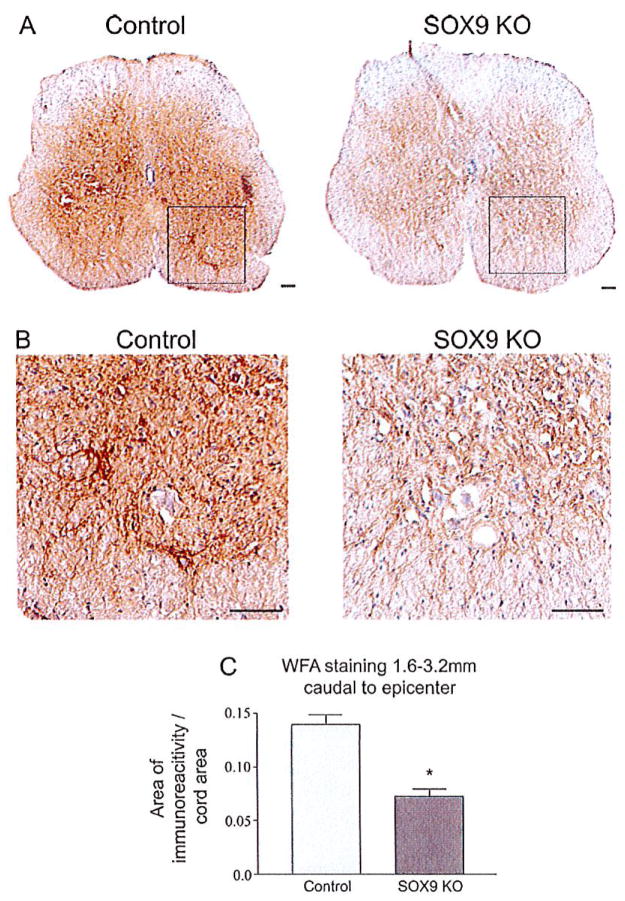 Fig. 10