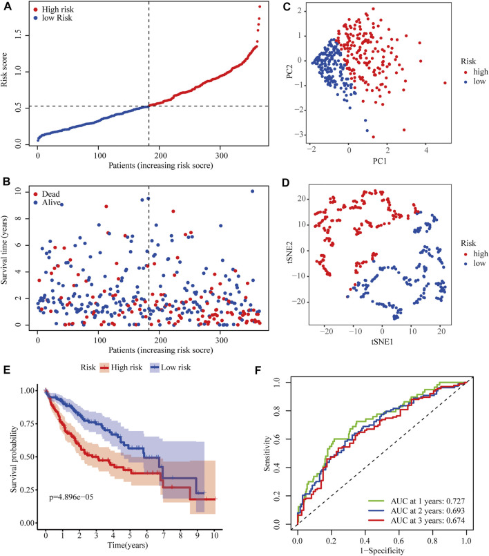 FIGURE 3