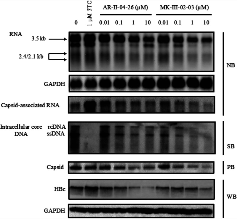 FIG 2