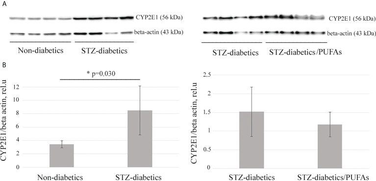 Figure 1