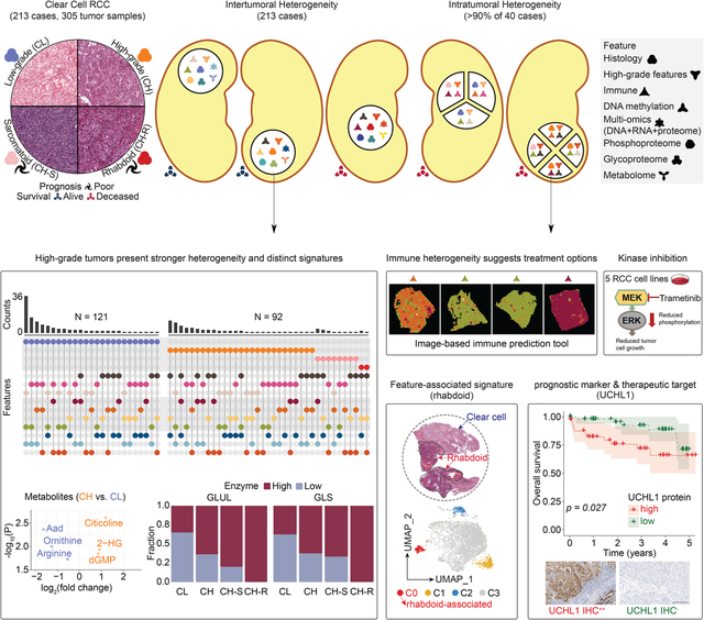 graphic file with name nihms-1857141-f0001.jpg