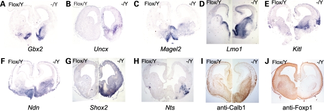 Figure 3.