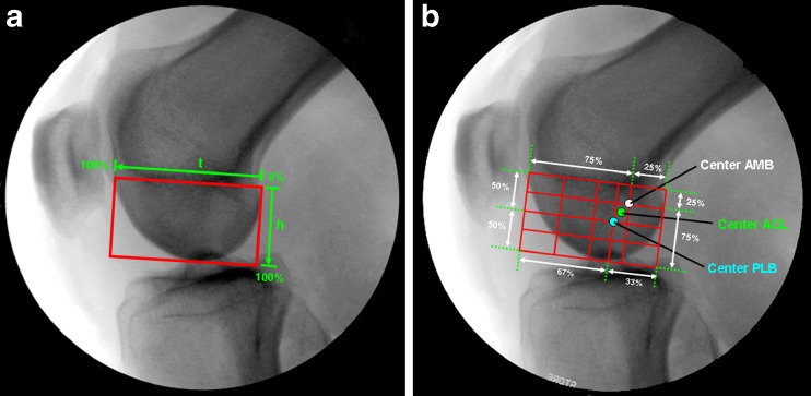 Fig. 22