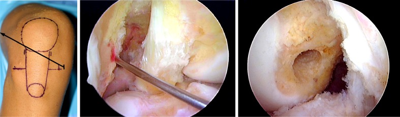 Fig. 8