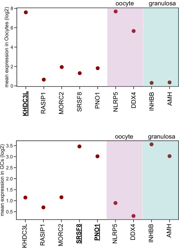 Figure 4—figure supplement 2.