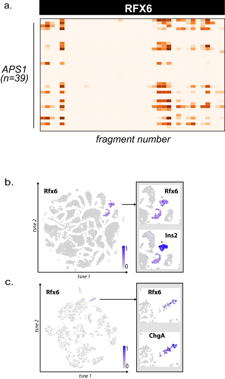 Figure 6—figure supplement 1.