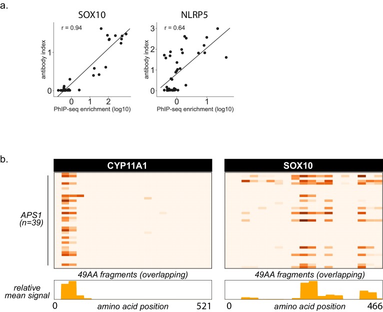 Figure 1—figure supplement 2.