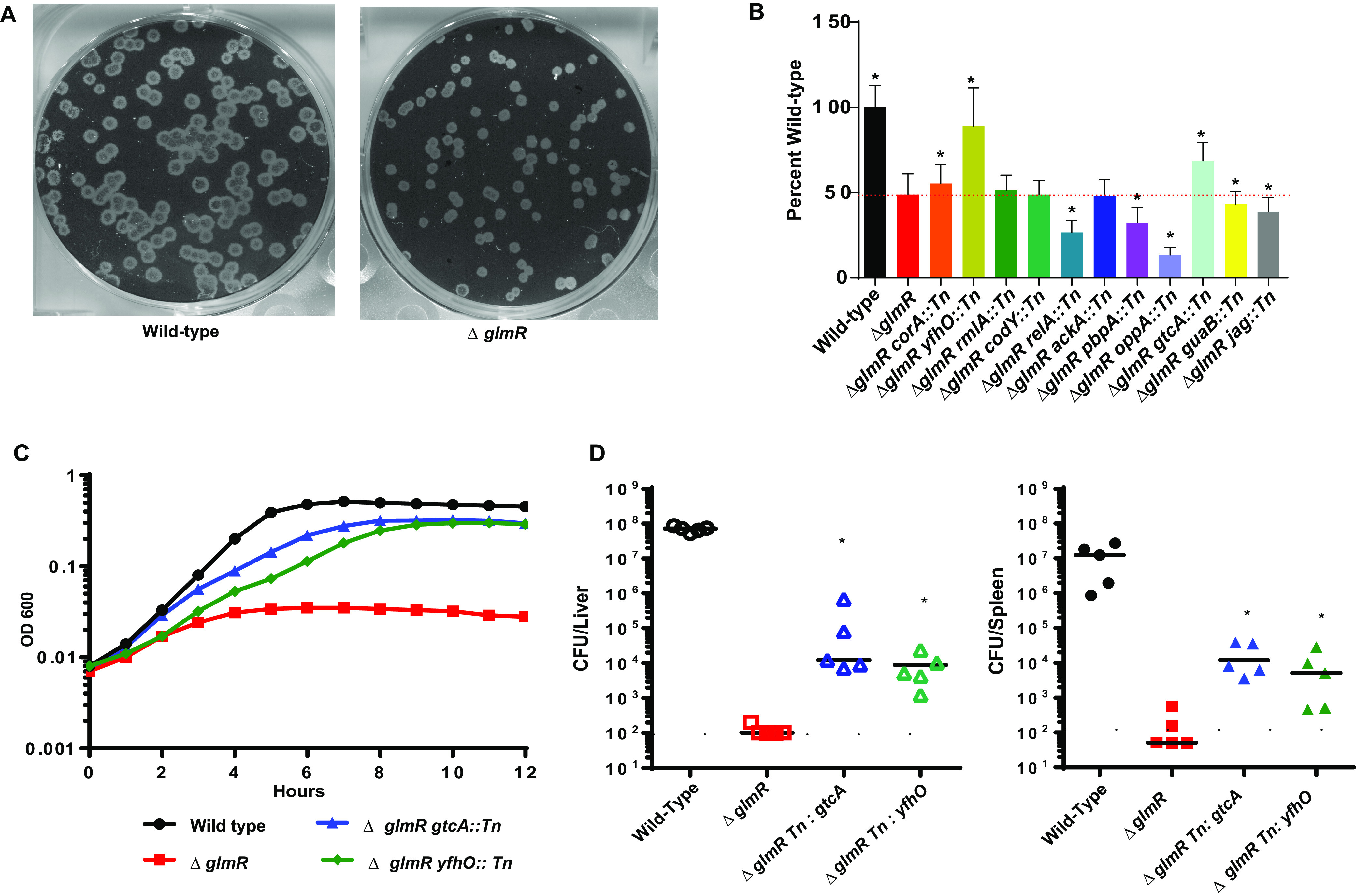 FIG 1