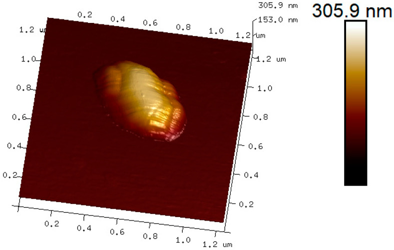 Figure 4