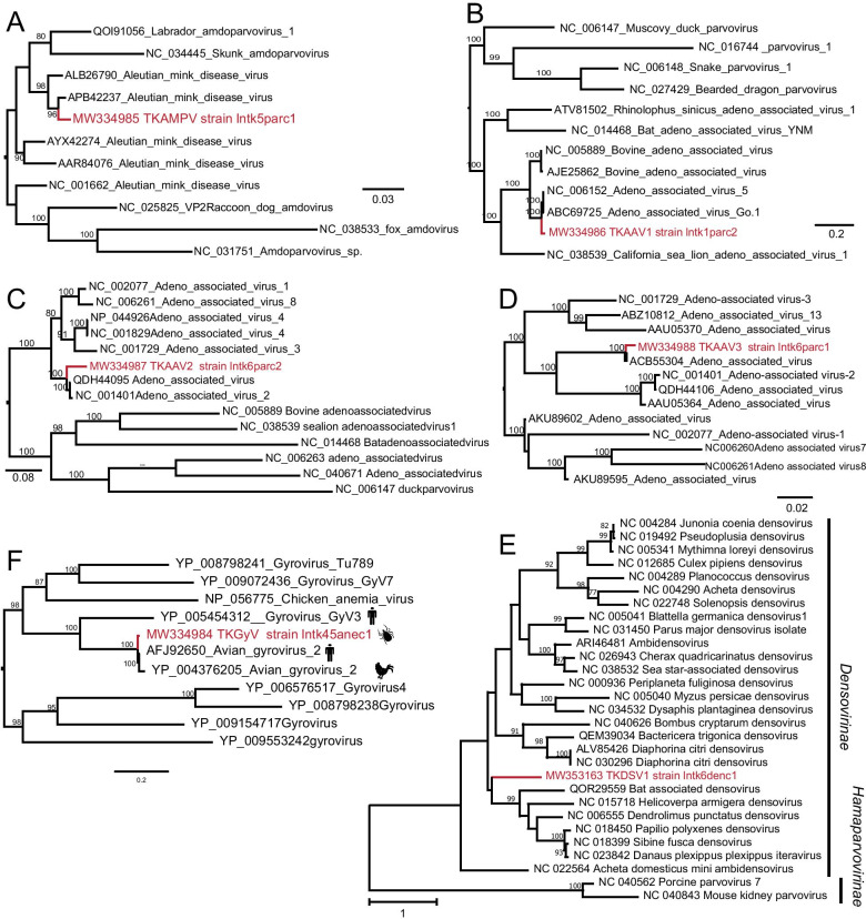 Fig. 4
