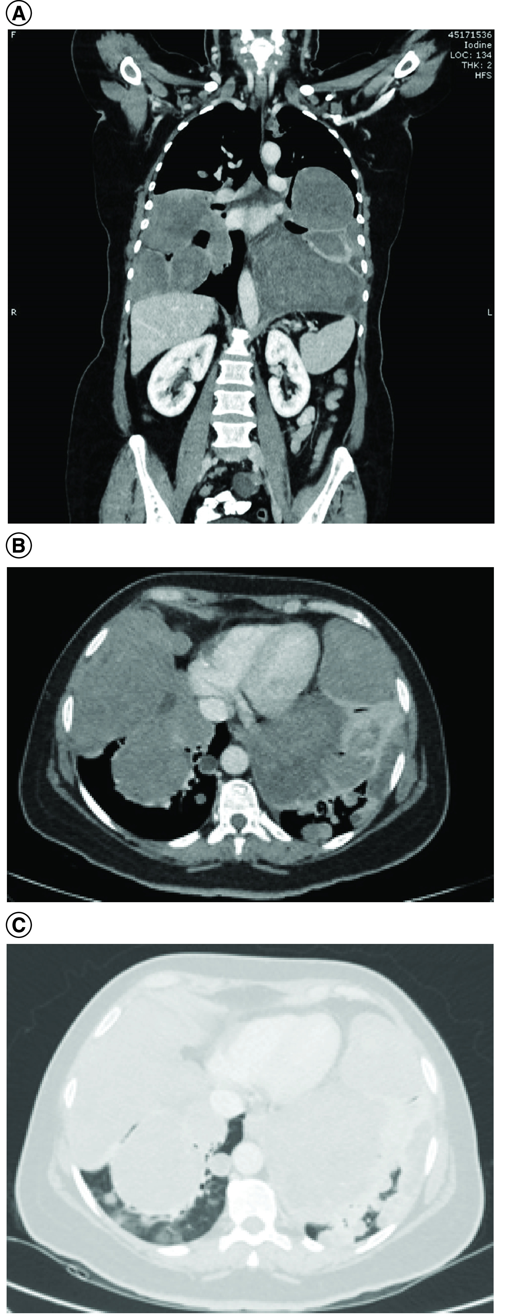 Figure 1. 