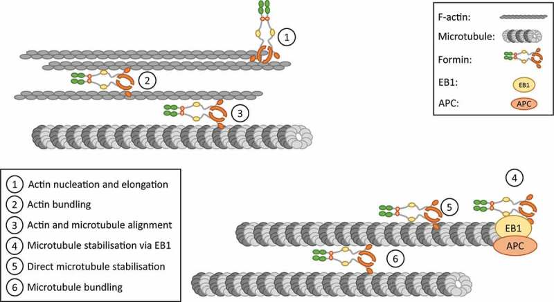 Figure 2.