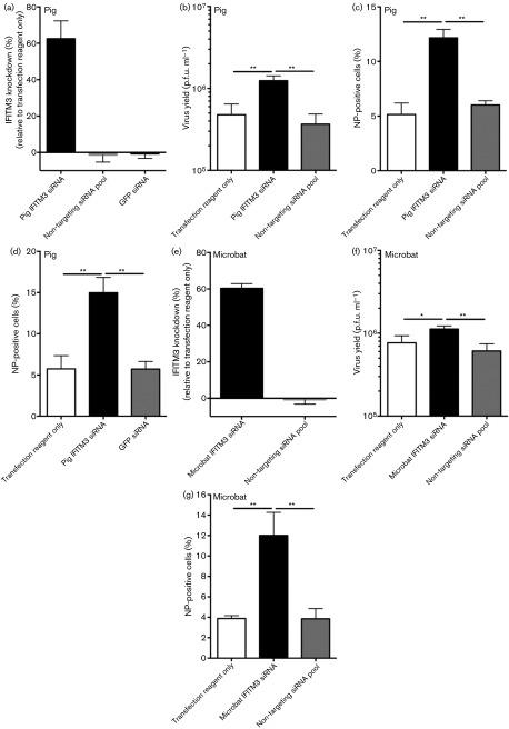 Fig. 8.