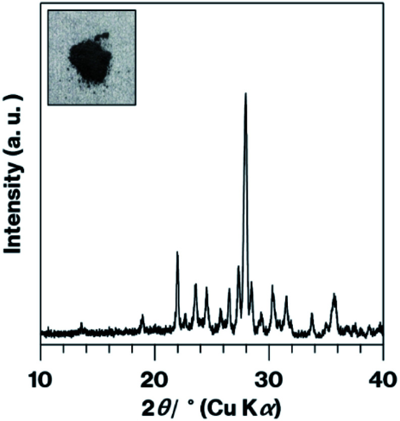 Fig. 5