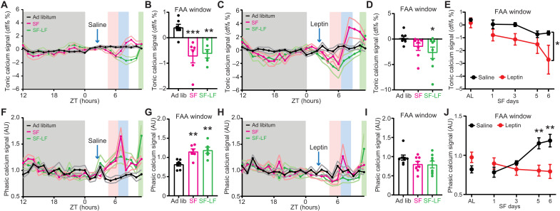 Fig. 4.