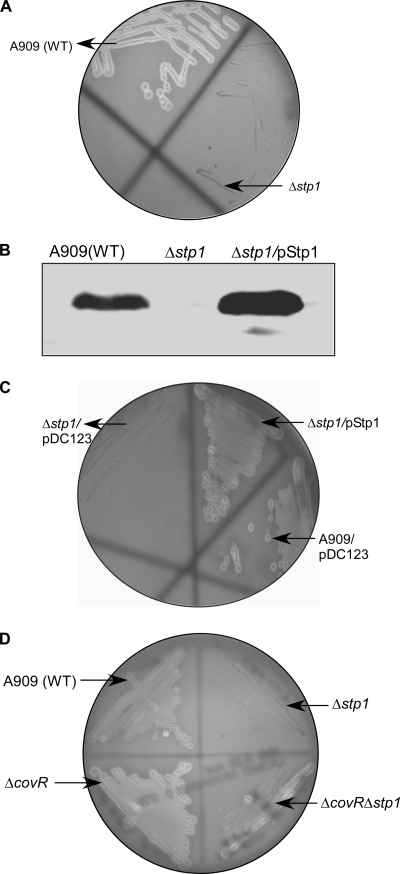 FIGURE 4.