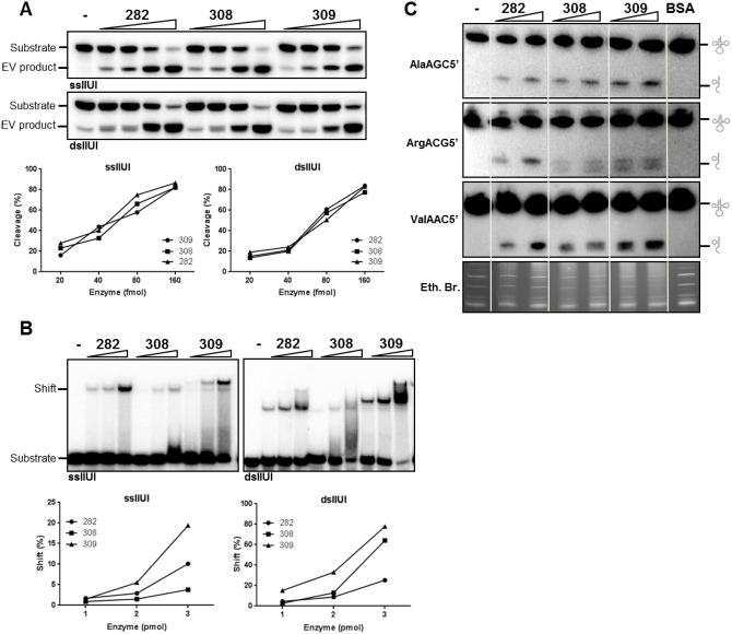 Fig 4