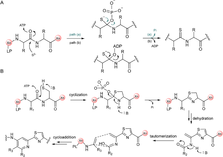 Fig. 11