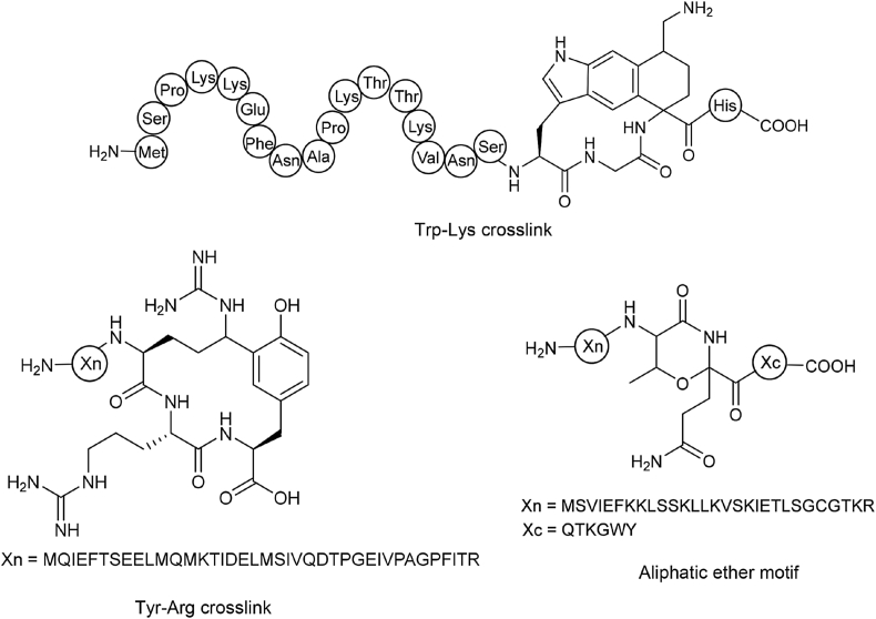 Fig. 14