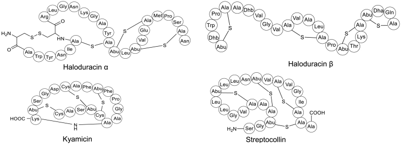 Fig. 4