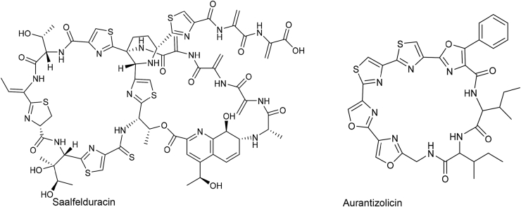 Fig. 13