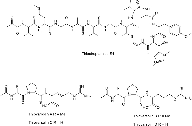 Fig. 12