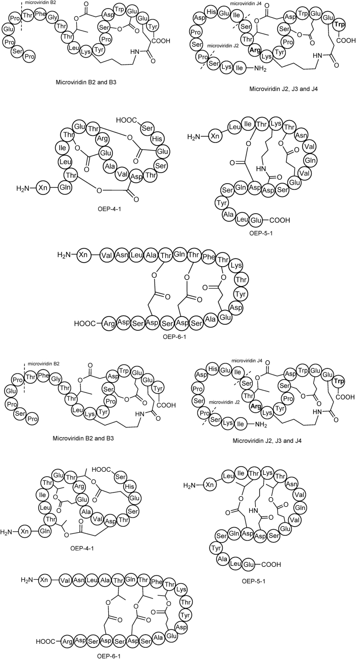 Fig. 8