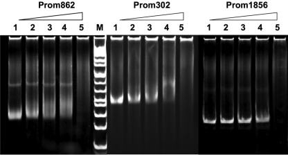 FIG. 7.