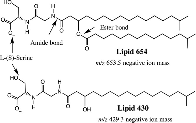 FIG 3