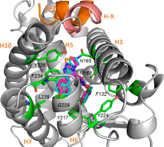 Figure 5