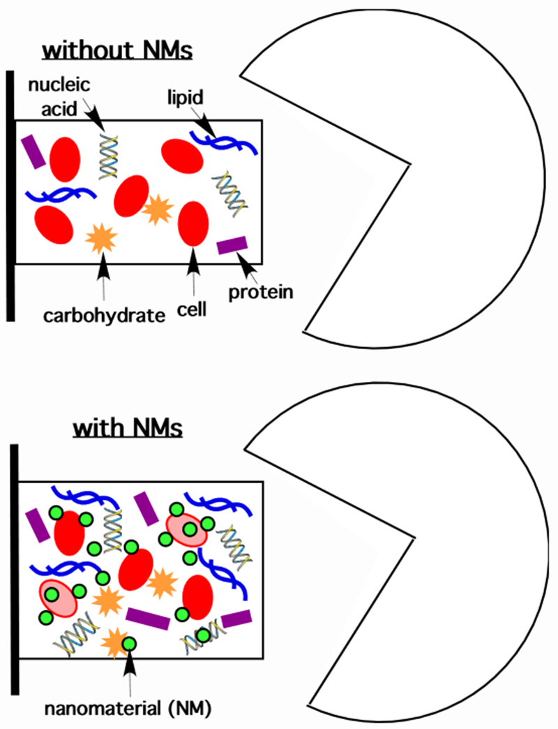 Figure 3: